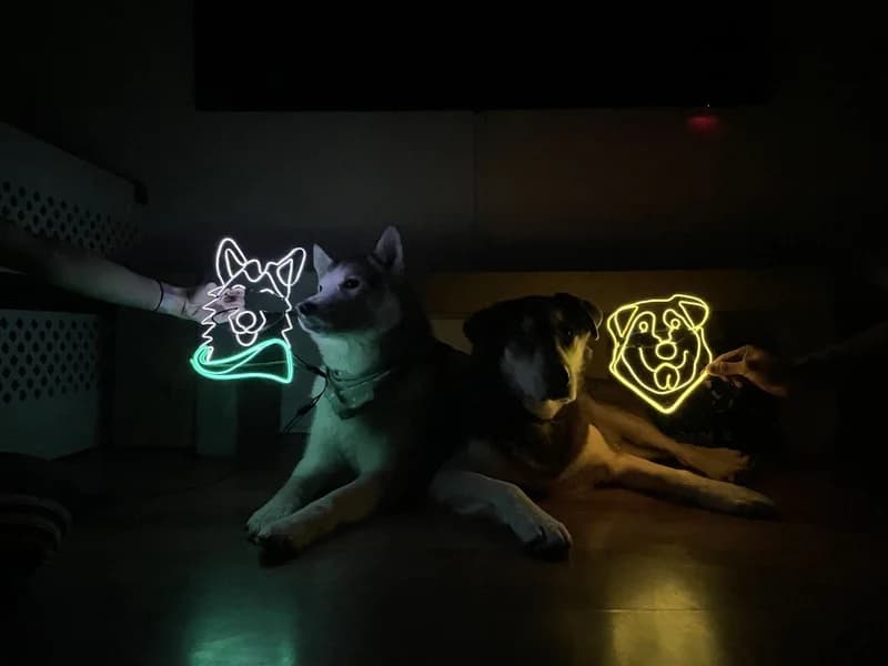 Custom MicroNeon Pet Portrait